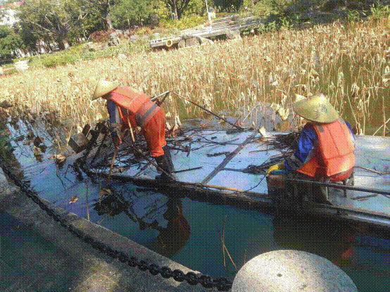 b646166603f483f9bb718046dc92114