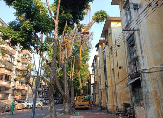 191b7c8275ee1bd41d08eb531922461