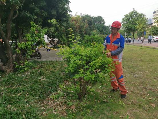 a9319667d6752d64c5167f1d69a8746