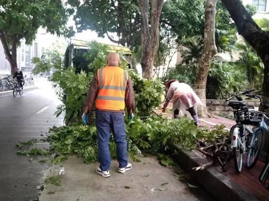 917ca0382e3507e4b43e9375e1a3452