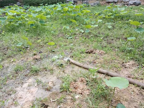 b5c163fa4d42378d4364ceec0964277