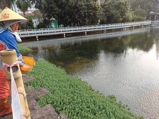 a928fa032294b996dc5421b7a4c66e9