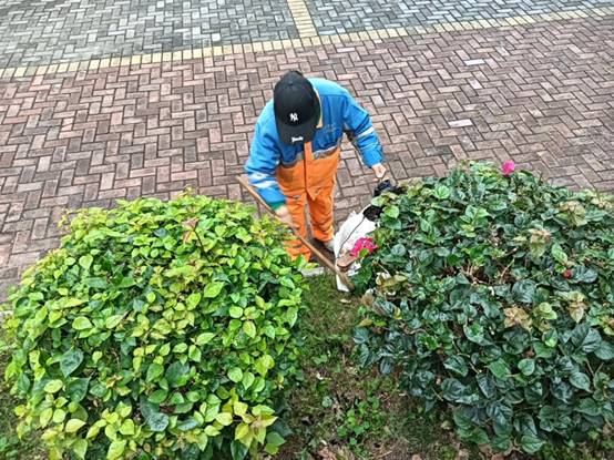 0a5a53bd371905a4f75382d2765c473