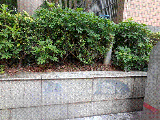 193be93a404cb7567cc83b0c1ee99f5