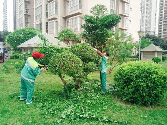 34b5be9260199fbdcdb4b1ed917c6a9