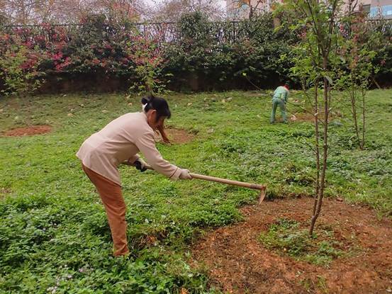 说明: 23b215b4961c7d1d9566f0b2b6a0e86