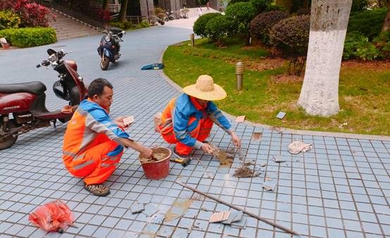图片包含 户外, 草, 桌子, 女人描述已自动生成