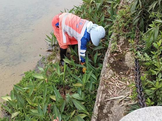 c49f8faa43f45e864b2f66b9a447786