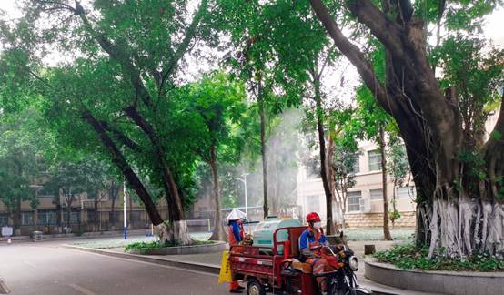 树林旁的路上停放着一辆车描述已自动生成