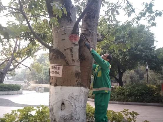 9eae4f7d734b4265b102bea72336491