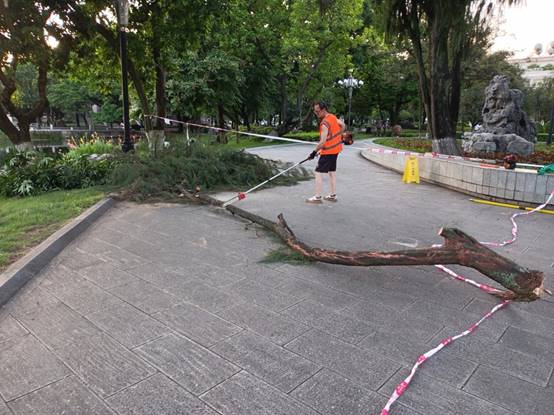 d6eb6d085c601b4e729e103568cb16e