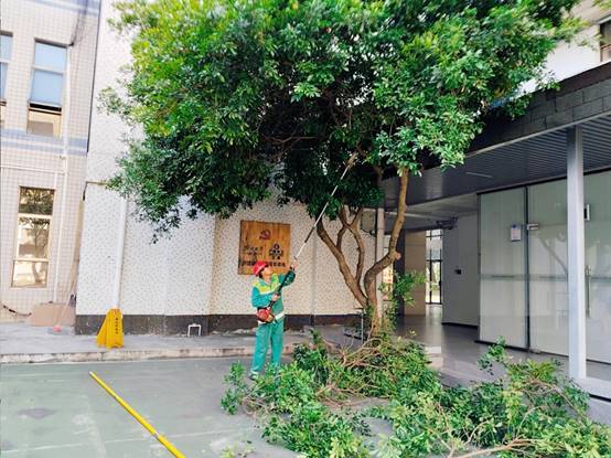 77dd87fdef5b45bfef551340473b3aa