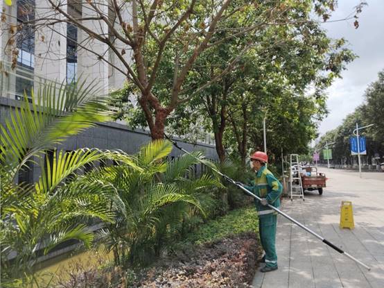 1c15f0c9261bb8e4cb475a85b9daa11