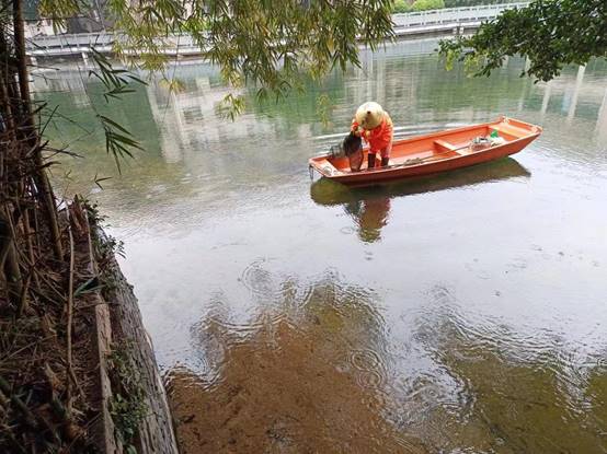 311fbaa8a6fee46e8920bcffe821b6b