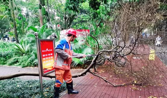 图片包含 户外, 长凳, 男人, 树描述已自动生成