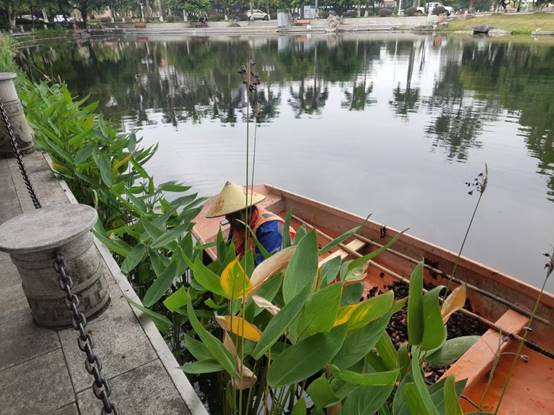 524fdecd5c184876abf8d316054669d