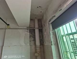 929e6bea43c2779dd46357045f81cd3