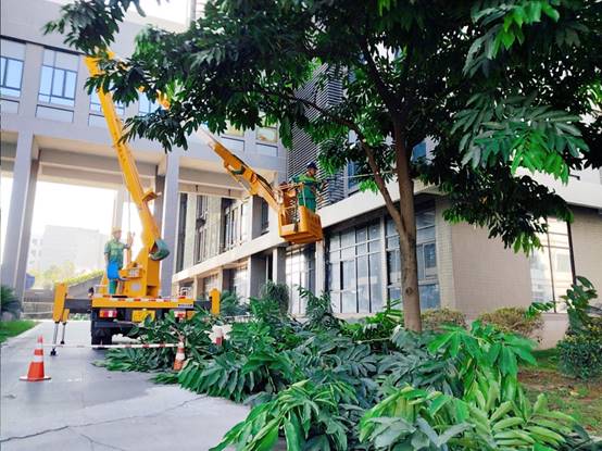 85bbc7cbce9cf34512c04876e0dc81f