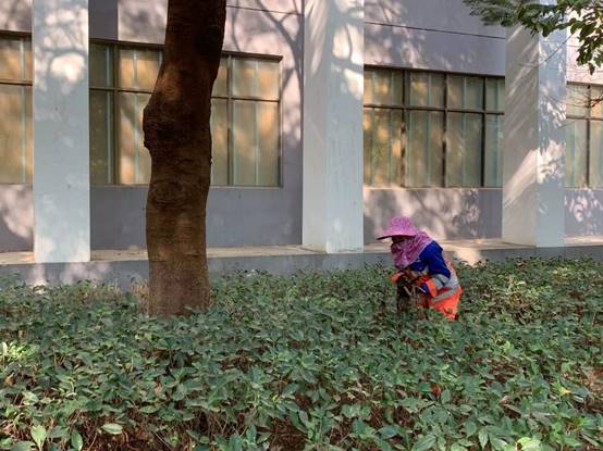 999bea10a045bf572a59ff8505e4bce