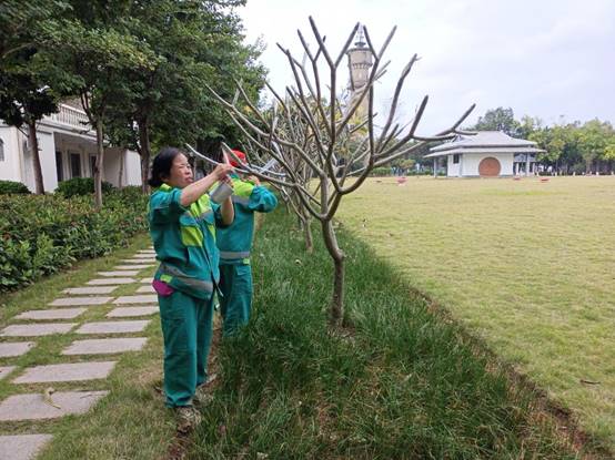 6db2ff17bdf1de59aab7be4d5a9edc6