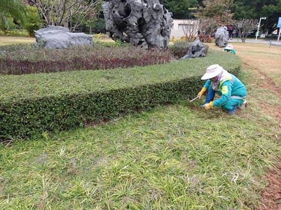 ebcf1313660a3b2e80d6bd56e758363