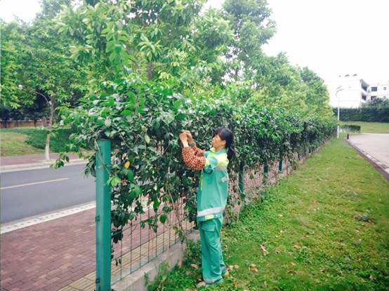 f8b4fef92f7f545e281fc695d863b4c