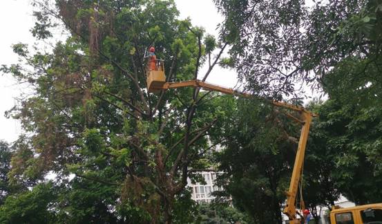 f5ac8c4107856959846cb7593ab3b755_