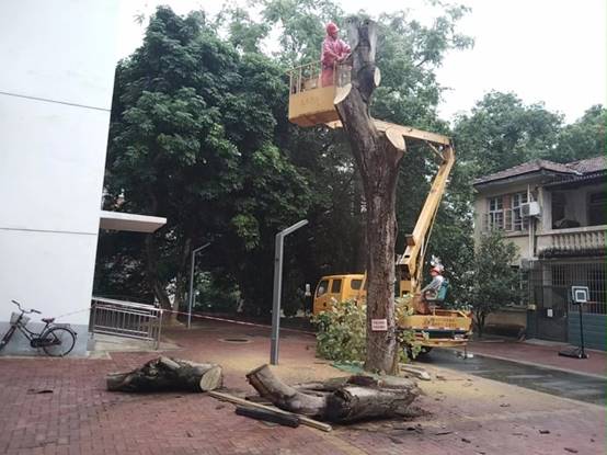 f255df50a1e463d6e4868858d41d0e0