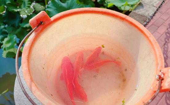 22d2d8e9e6f280288db87b960882dd3b_