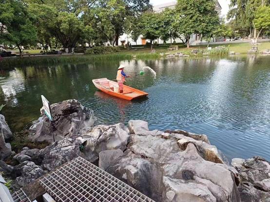 d587abdcf89392c896871ea3eae70f6