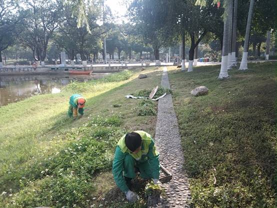 ae9eb70bf07c8ca1eea49aff1d6a76a