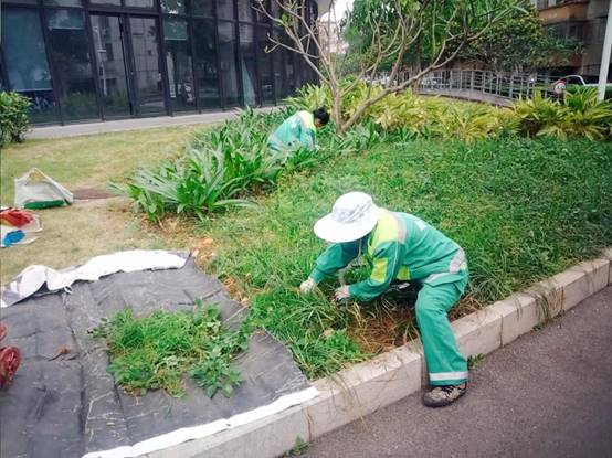 1c73b31cae295266de9d53e1d8e941e