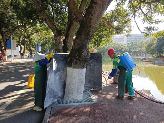 739de16b21dffa28ca90acabf0cd721