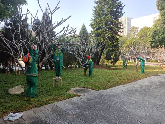 2e68165fb901973e4407167805360c0