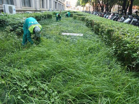 e779936f588a6efd3fceb52ae85e156