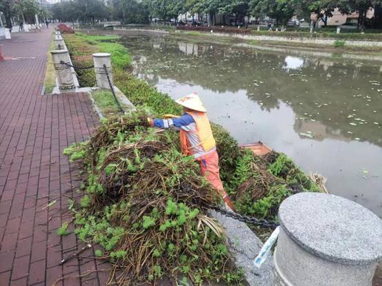 157de6b9606e848ffbfa52480f26068