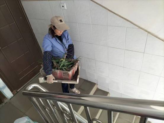 799555cb8a2bfcd6deff4bc02b1d0c3