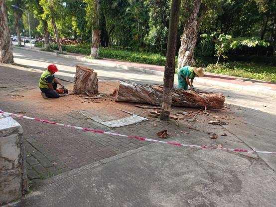 b820212c9a000617792be942bc1d16b