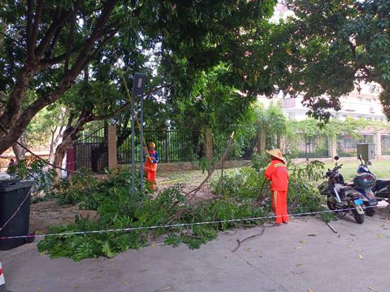 1fff79fee269e8a0a6e9751d19254d0