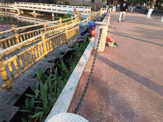 8493c59cb7882fdc3f7ec49b0f62904