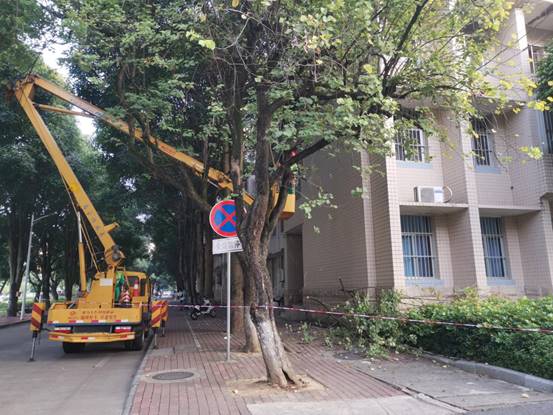 e3da60990e09a30cdba1e90e8fae38d