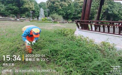 2a5af6e8e8560c268fea6993c1c4bb4