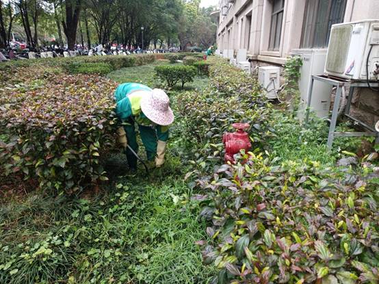 4c352a912590cccc537e513eb966443