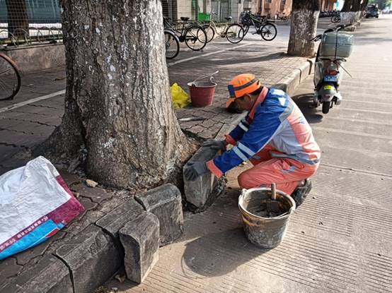 57f445b27b6545a38f87513a4f27165