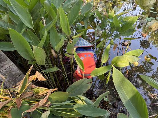 4ddd12cd76ae9886ab6a4c7d43df31a