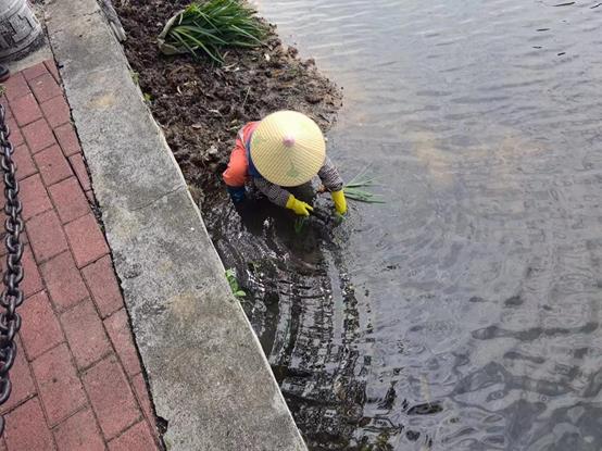 ec066b03eb6c17b6fff331f3b7157d4