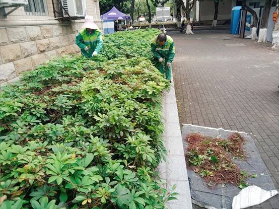 acaf19837cf0924de427cf457e5d164