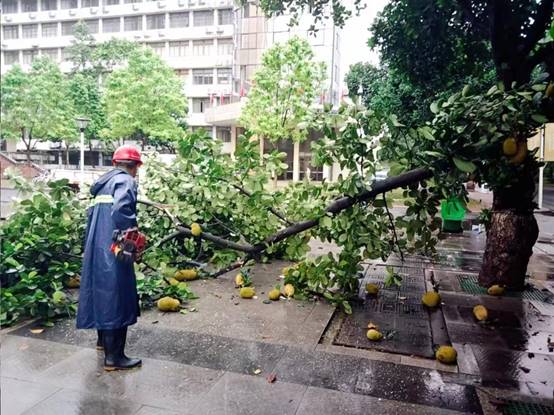 e3c46a0a39cd3b4d7c93dd48425da4a