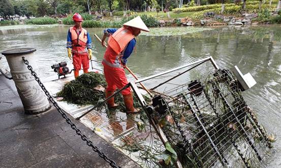 210fcfef09f59d9def756436dc7db84c_