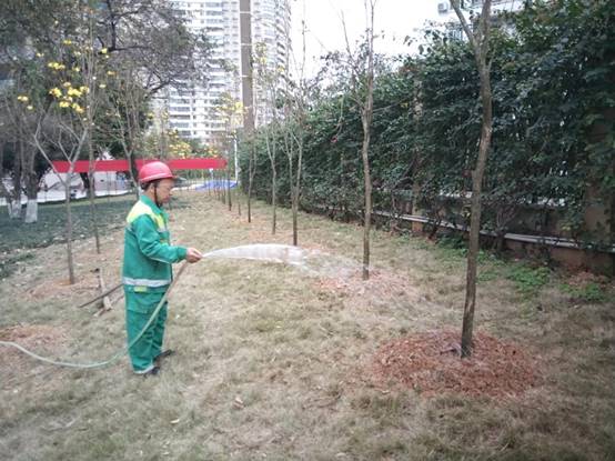 2cea647a5a0b874c0d73524d15358c9